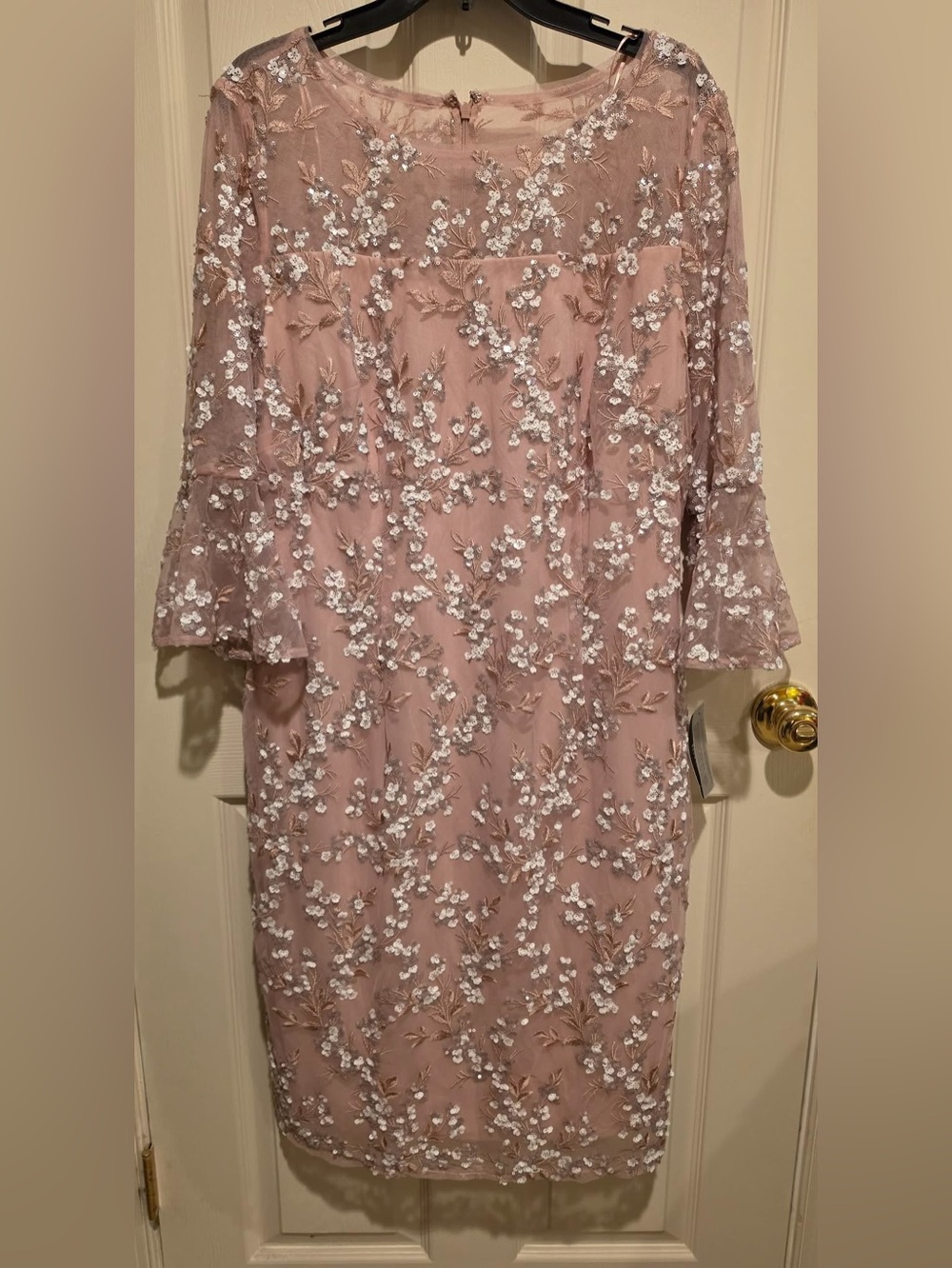 Alex Evenings Dusty Rose Embroidered Lace Gown